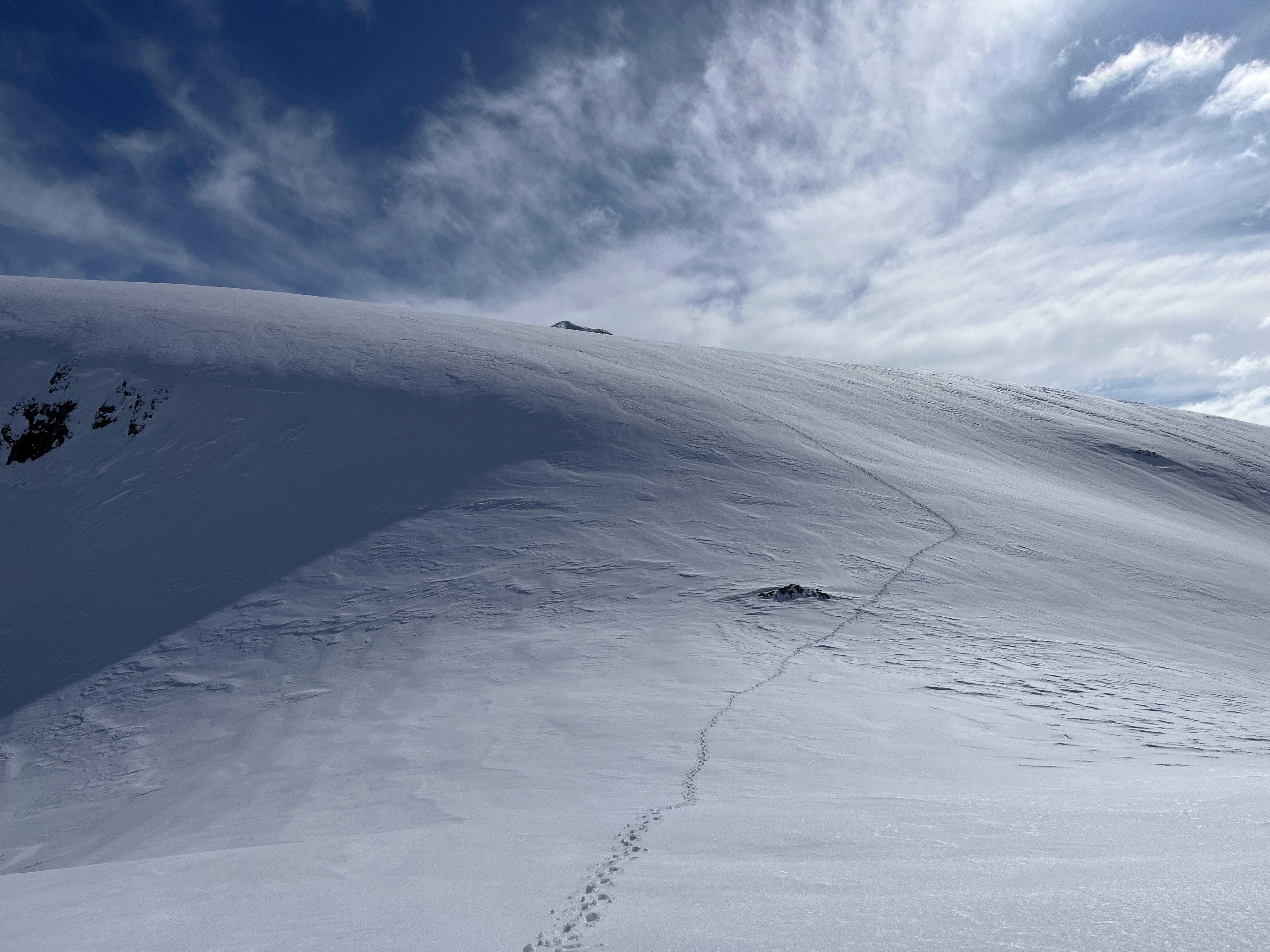 20260328_Gollucebasi5